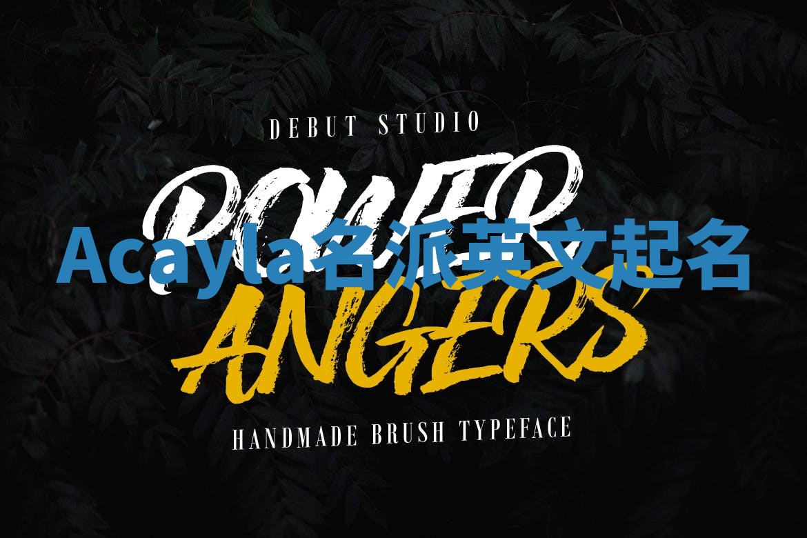 Acayla名派英文起名