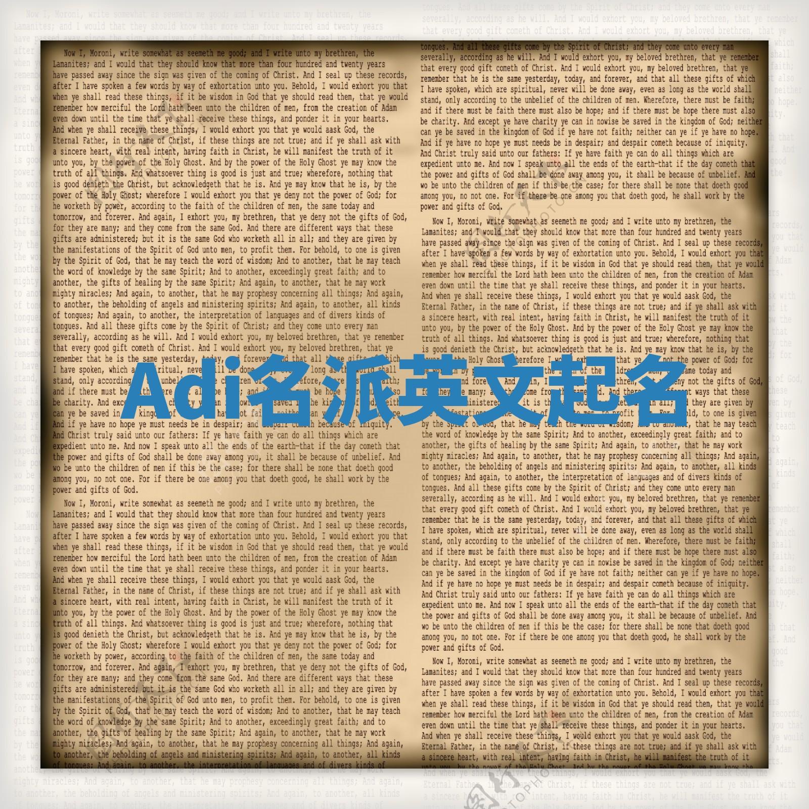 Adi名派英文起名
