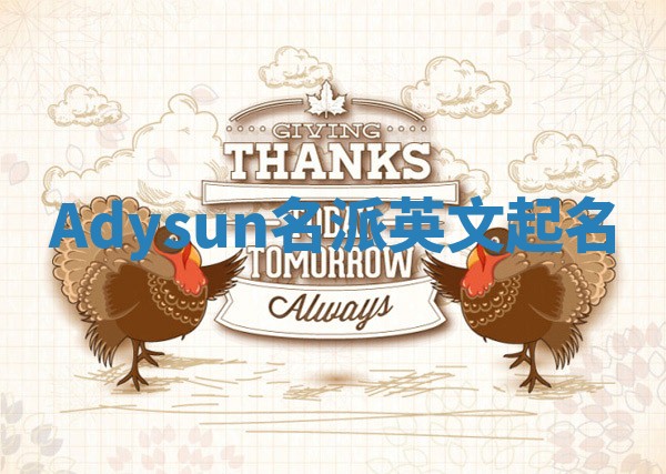 Adysun名派英文起名