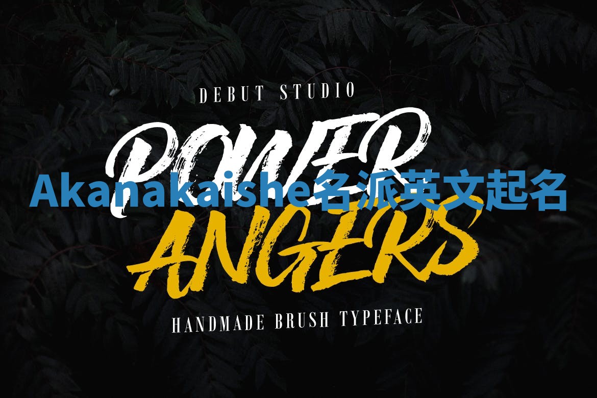 Akanakaishe名派英文起名