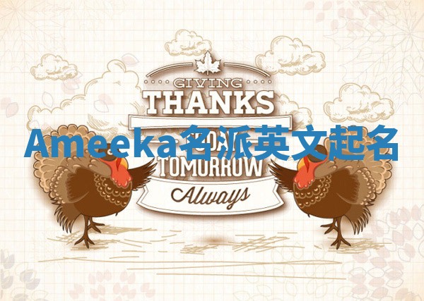Ameeka名派英文起名