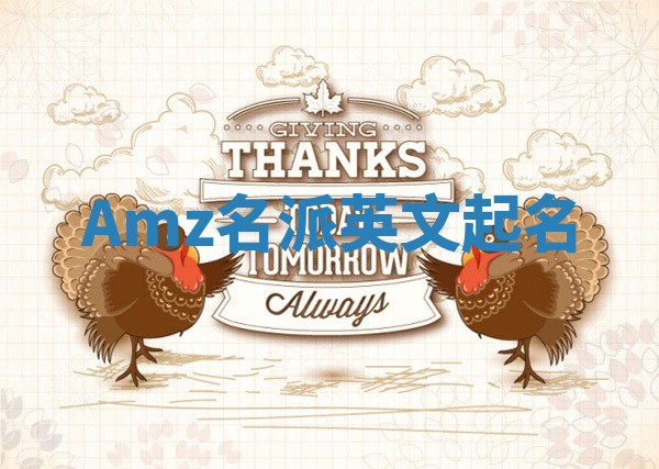 Amz名派英文起名