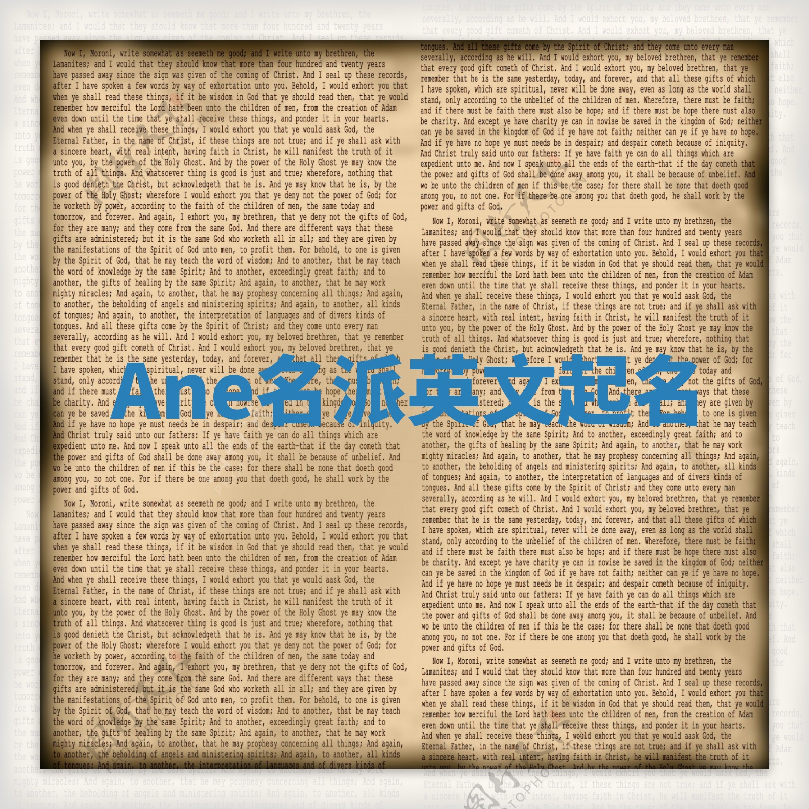Ane名派英文起名
