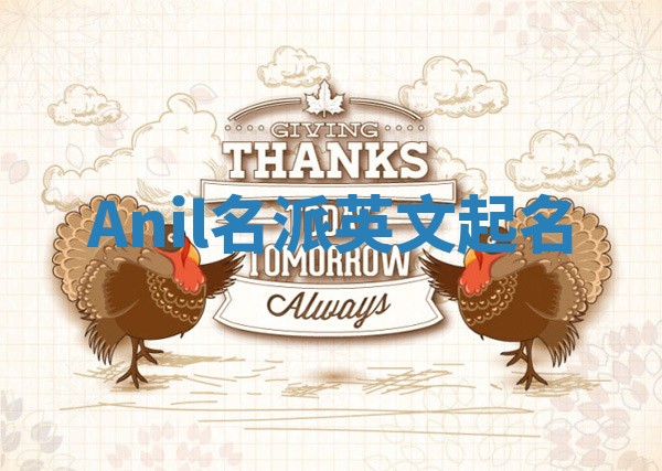 Anil名派英文起名