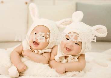 Arvi名派英文起名