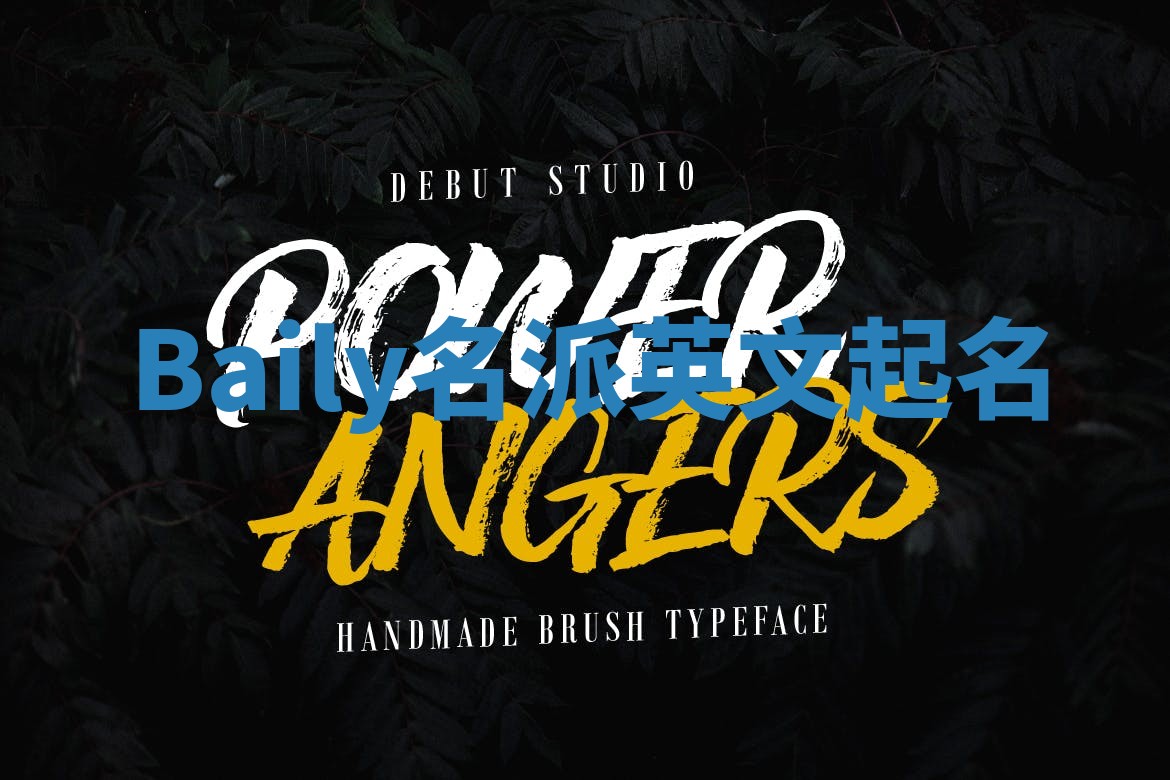 Baily名派英文起名