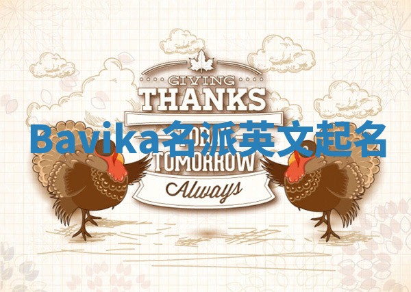 Bavika名派英文起名