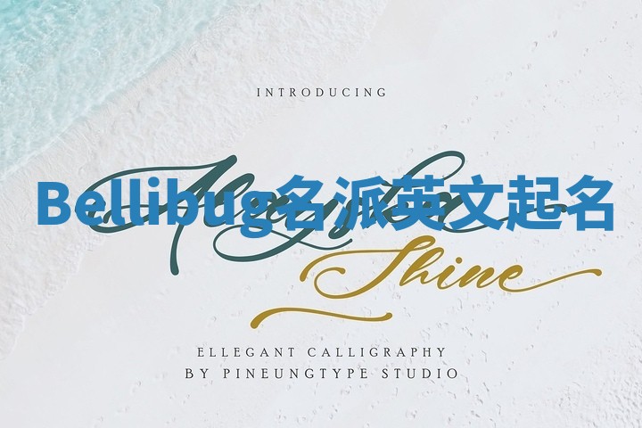 Bellibug名派英文起名