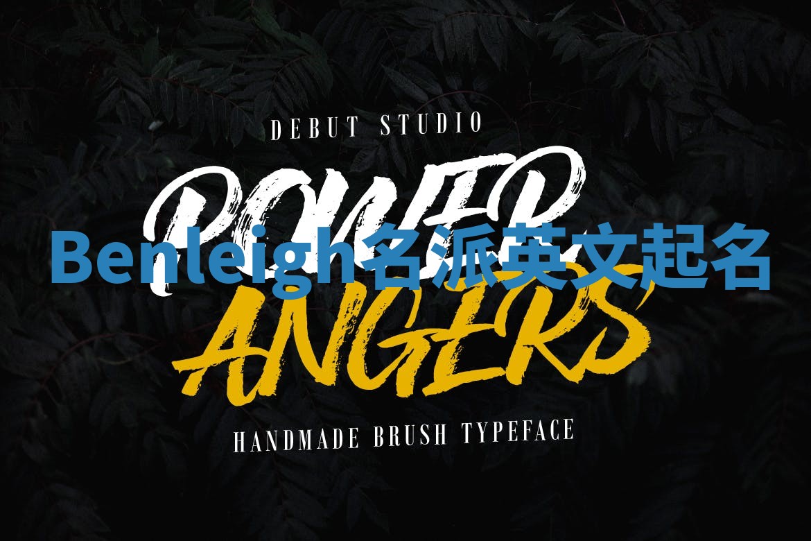 Benleigh名派英文起名