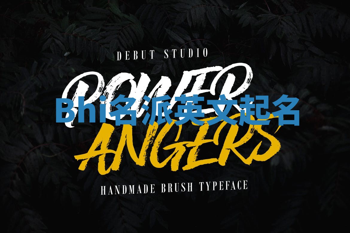 Bhi名派英文起名