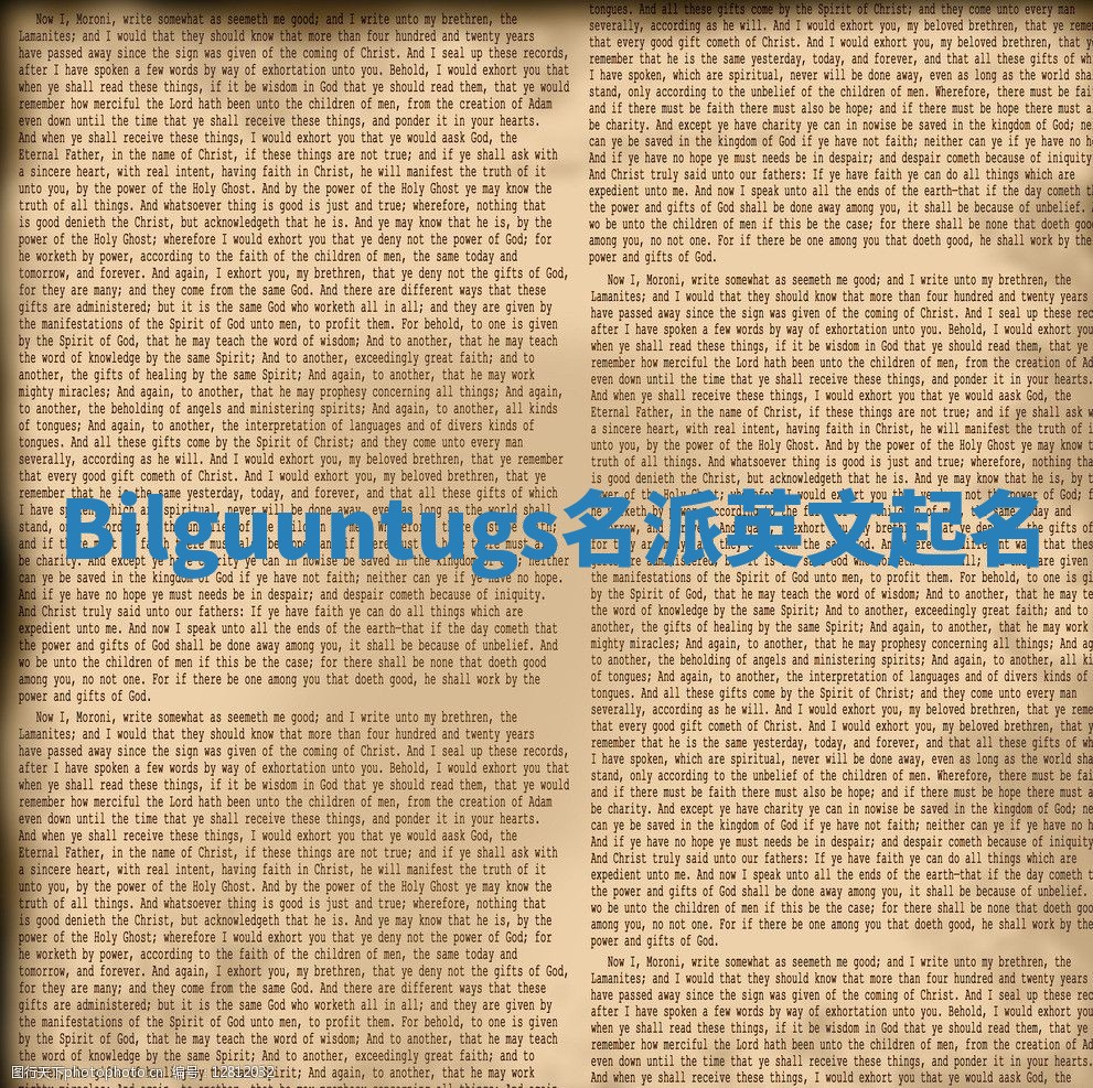 Bilguuntugs名派英文起名