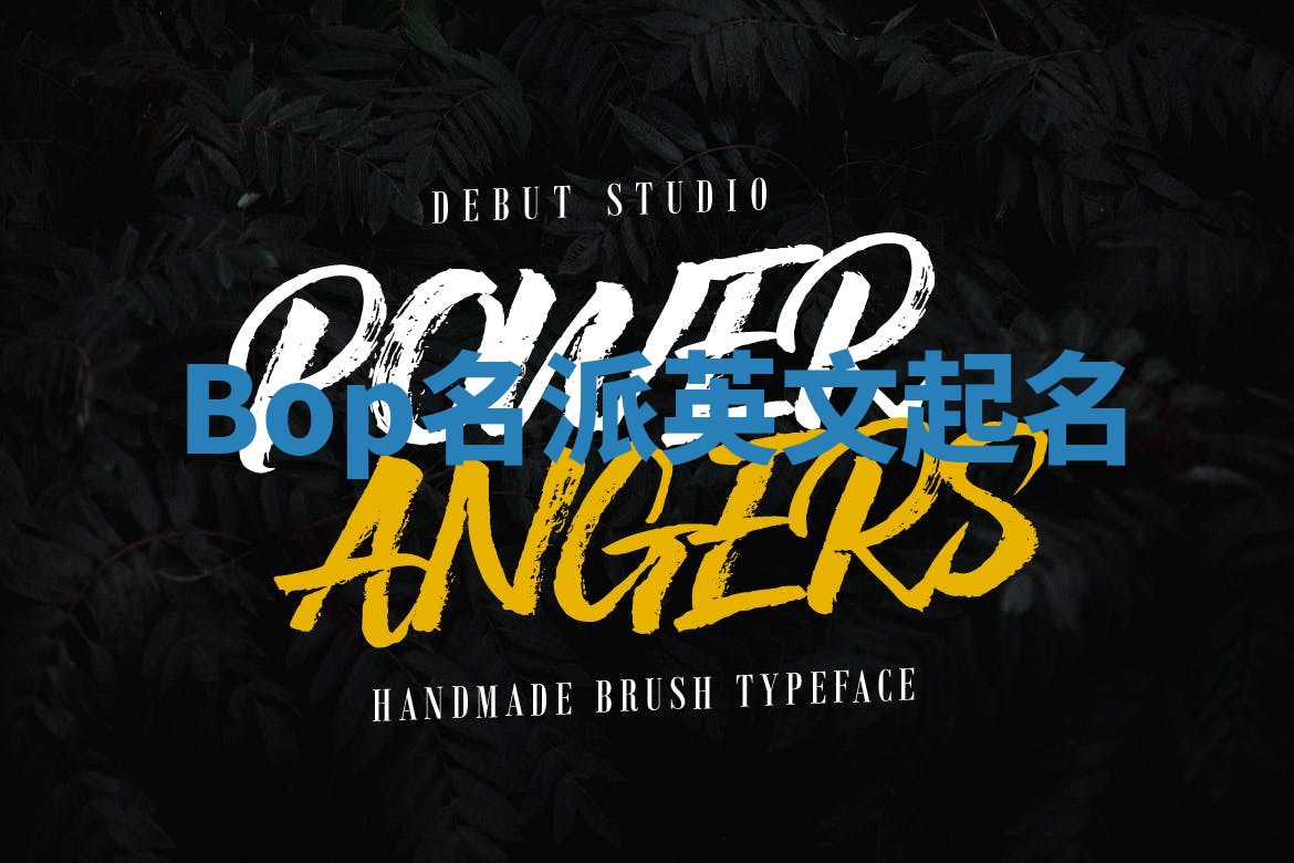 Bop名派英文起名