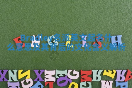 Bradley名派英文起名什么意思及其背后的文化含义解析