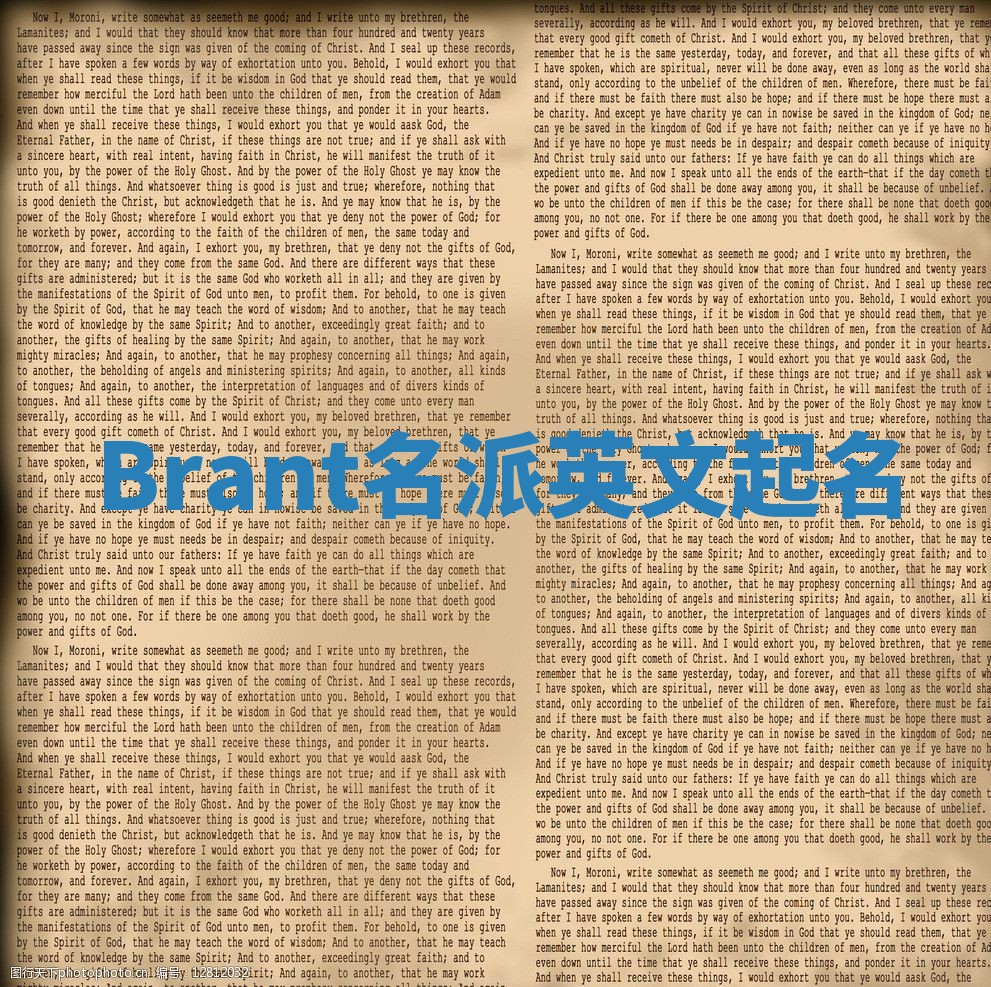 Brant名派英文起名