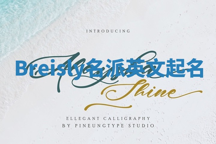 Breisly名派英文起名