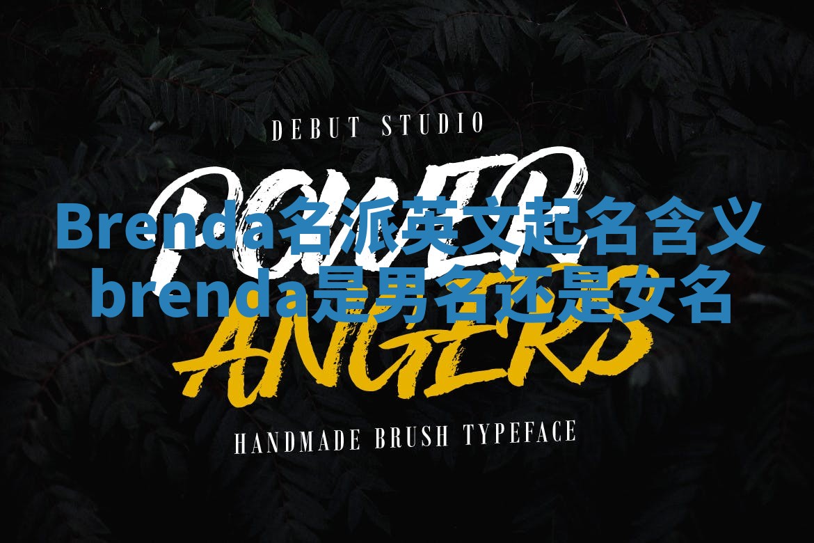 Brenda名派英文起名含义_brenda是男名还是女名