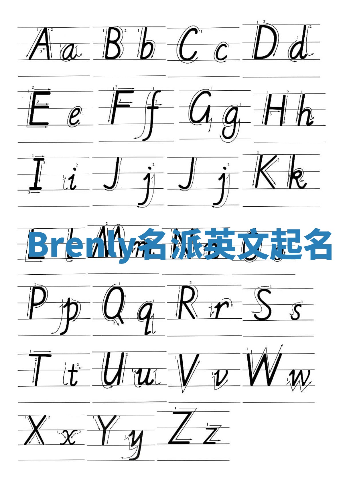 Brenly名派英文起名