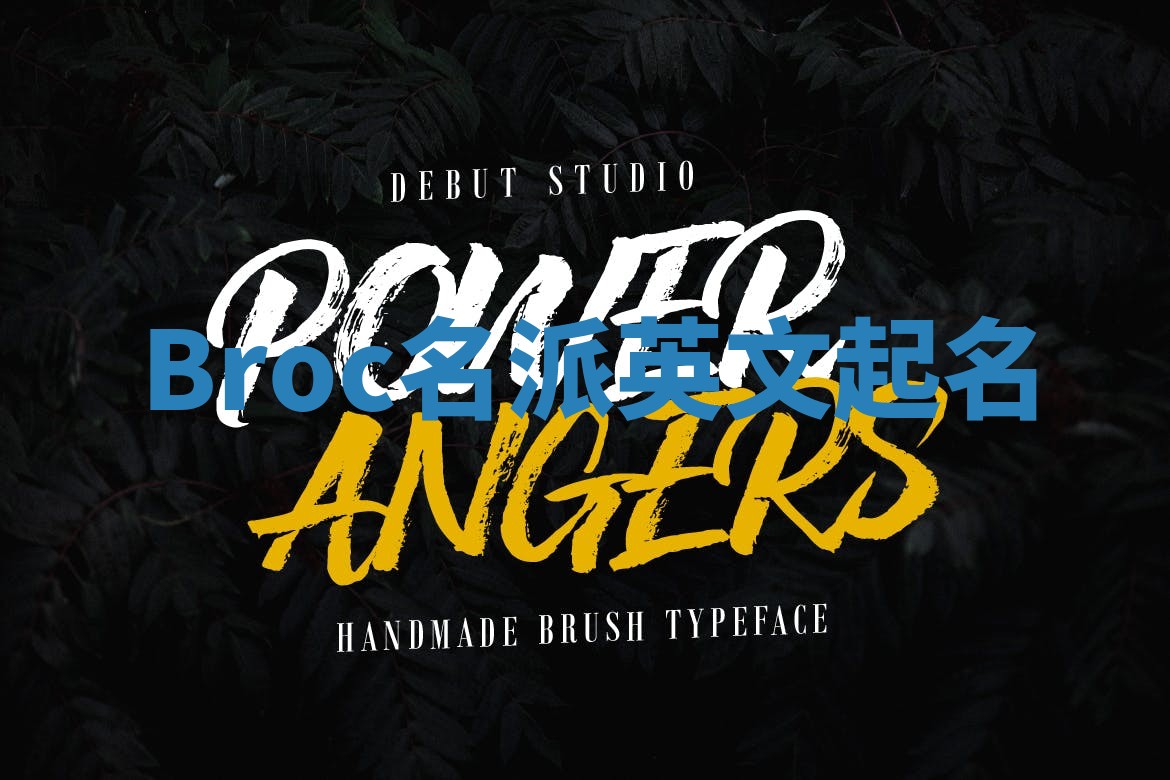 Broc名派英文起名