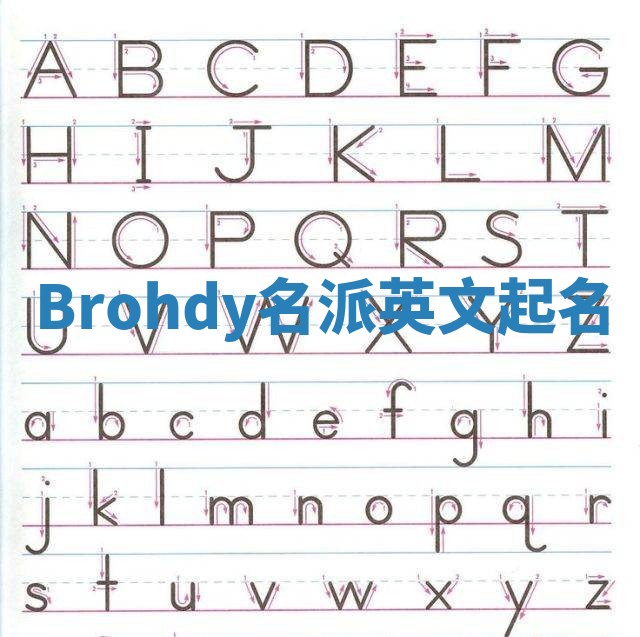 Brohdy名派英文起名