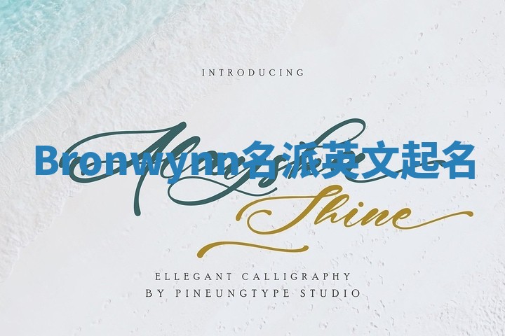 Bronwynn名派英文起名