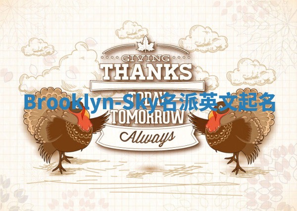 Brooklyn-Sky名派英文起名