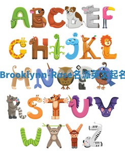 Brooklynn-Rose名派英文起名