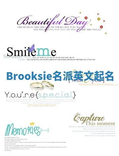 Brooksie名派英文起名