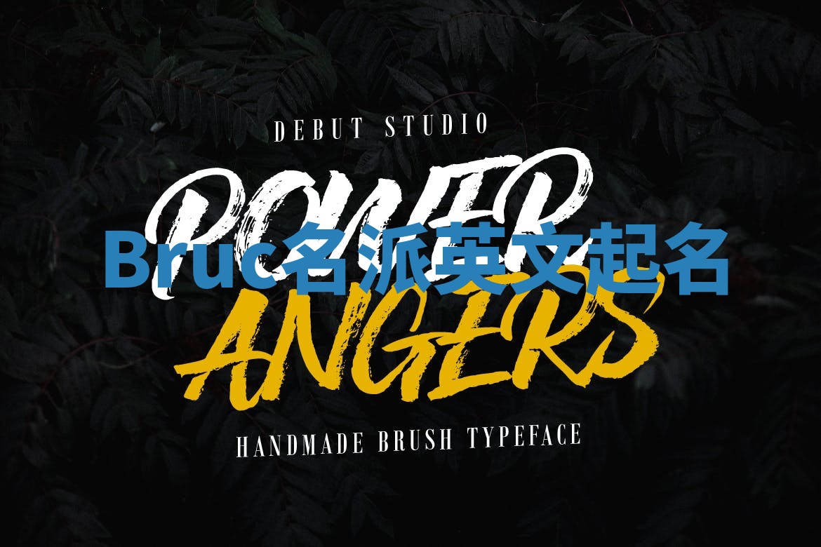 Bruc名派英文起名