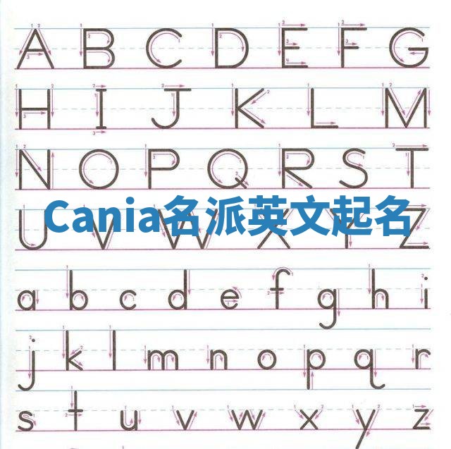 Cania名派英文起名