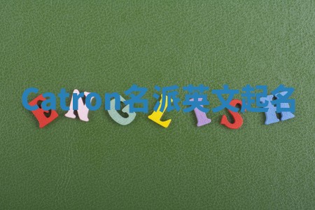 Catron名派英文起名