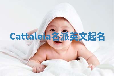 Cattaleia名派英文起名