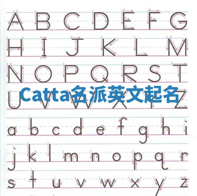 Catta名派英文起名