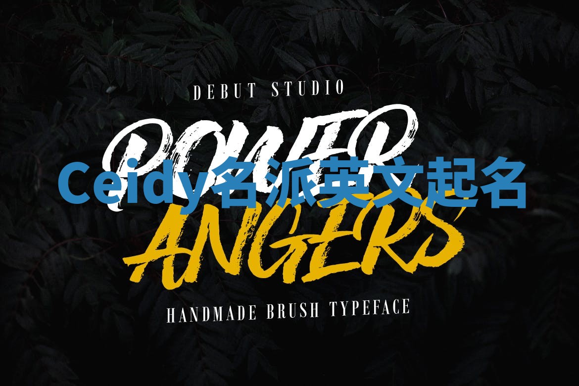 Ceidy名派英文起名