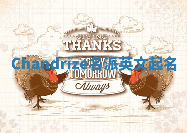 Chandrize名派英文起名