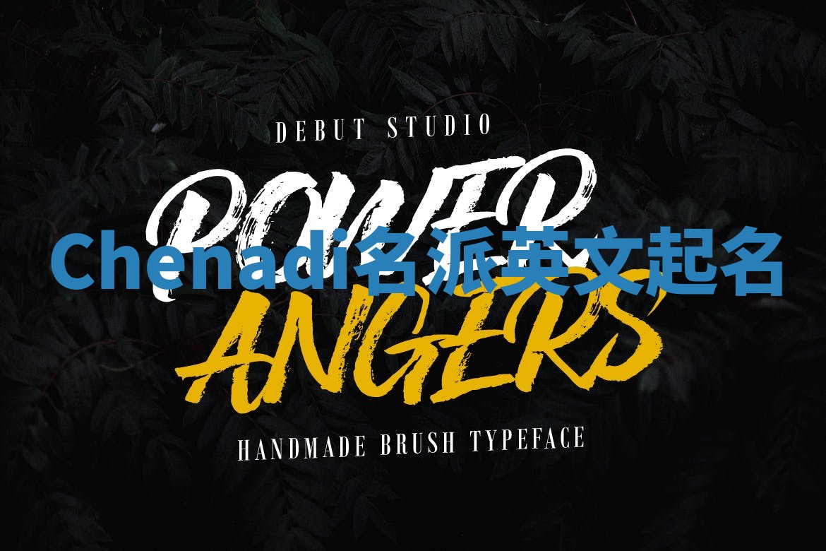 Chenadi名派英文起名