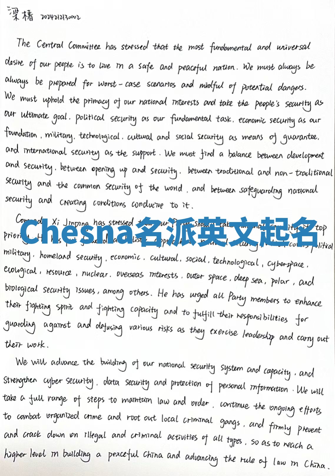 Chesna名派英文起名