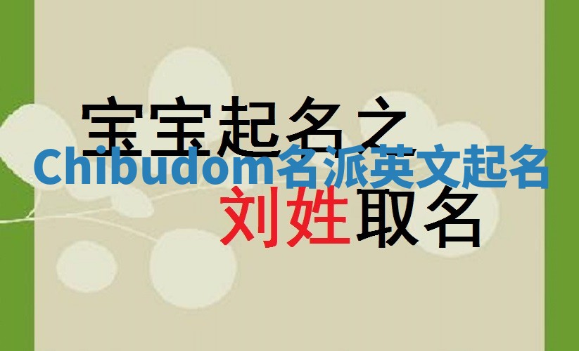 Chibudom名派英文起名