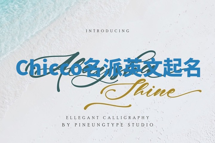 Chicco名派英文起名