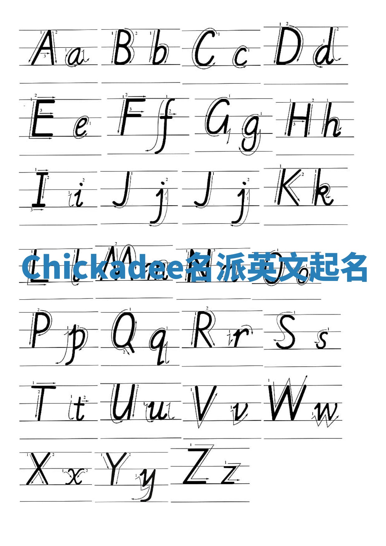 Chickadee名派英文起名