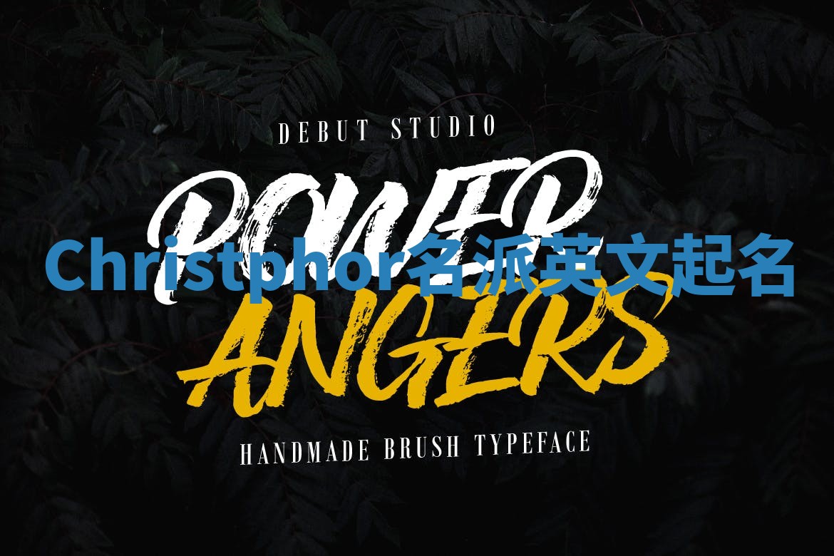 Christphor名派英文起名