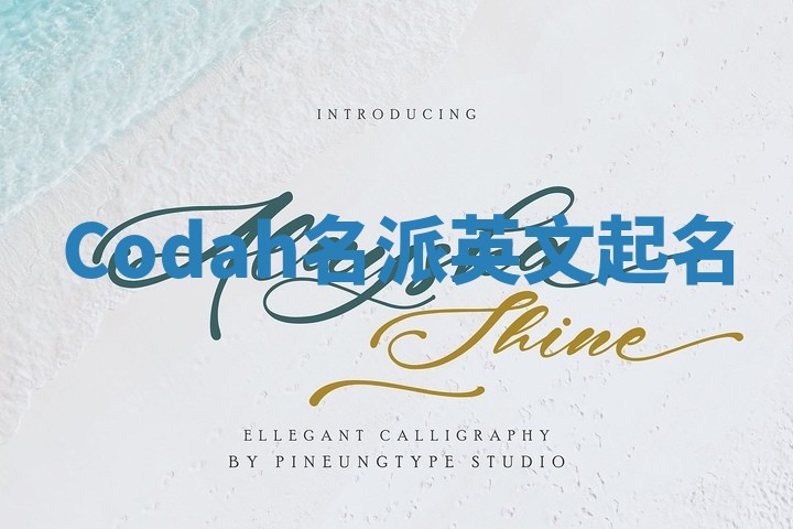 Codah名派英文起名