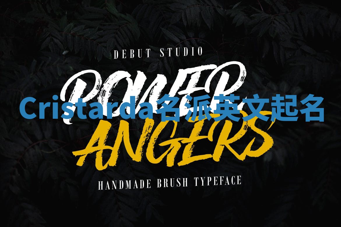 Cristarda名派英文起名