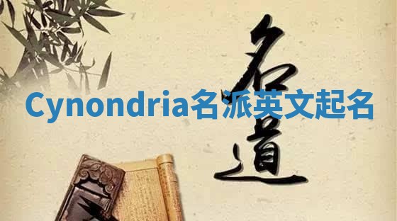 Cynondria名派英文起名