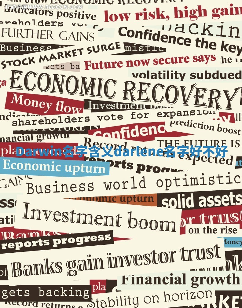 Darwin名字含义 darlene名字好不好