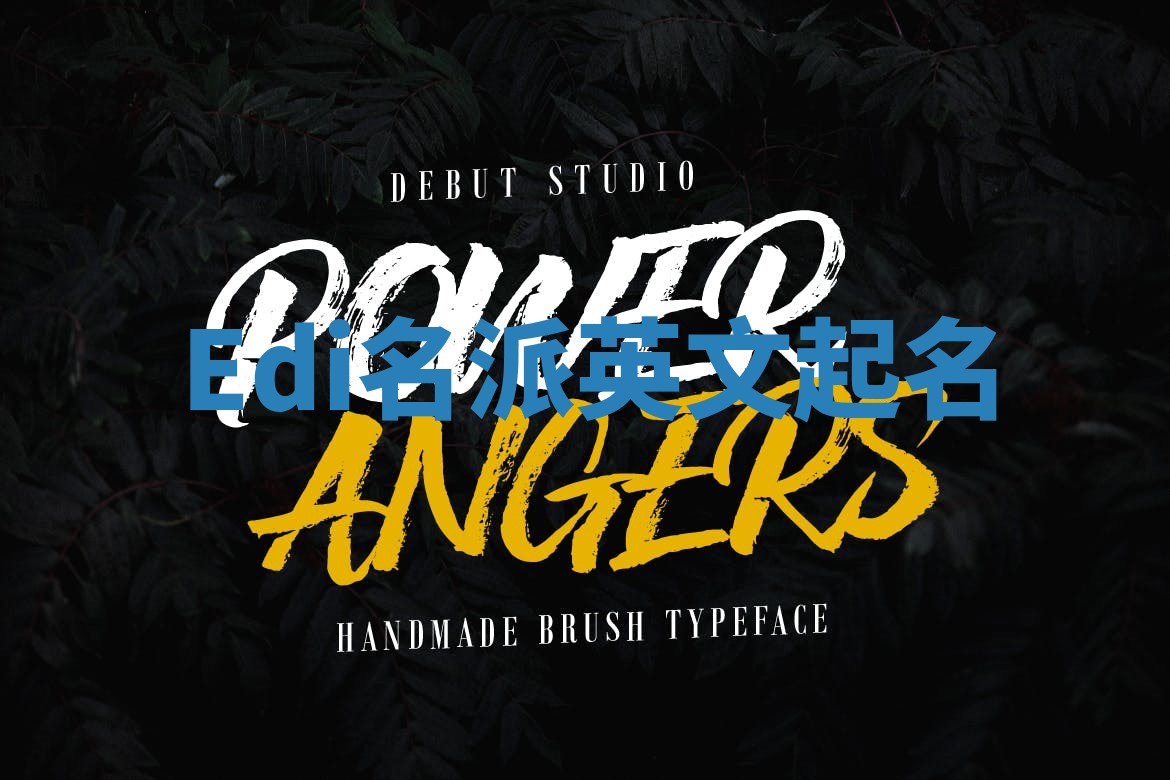 Edi名派英文起名