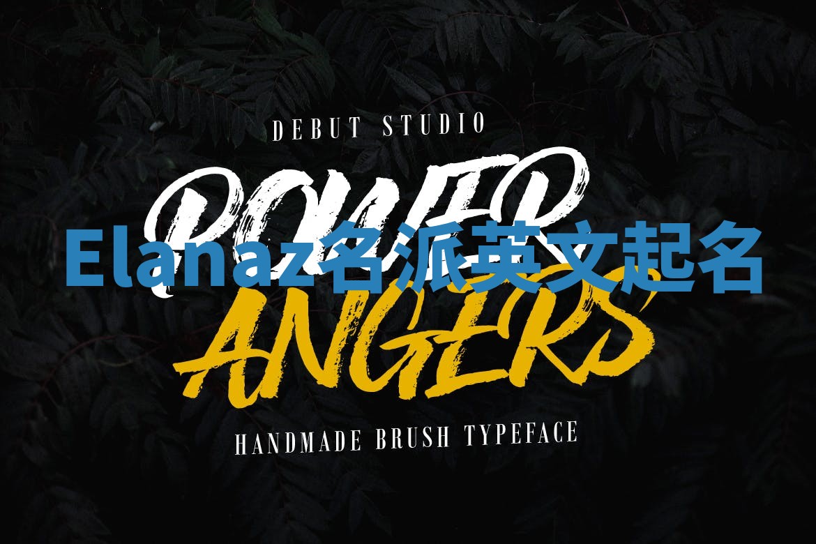 Elanaz名派英文起名