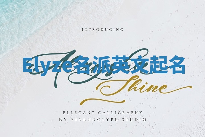 Elyze名派英文起名