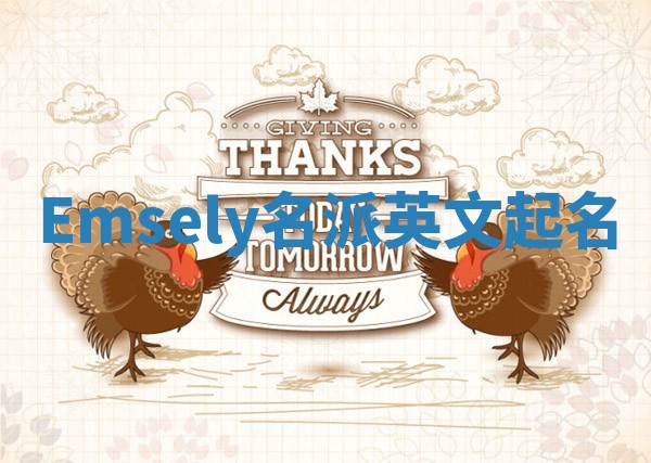 Emsely名派英文起名