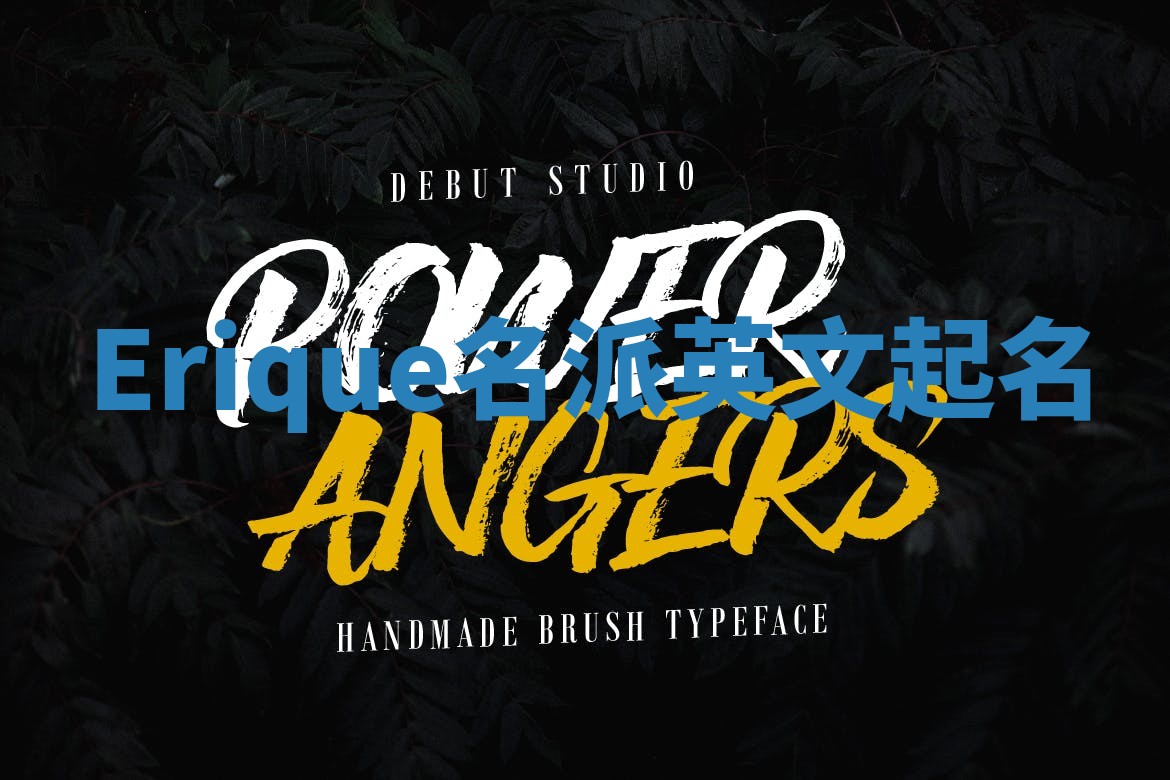 Erique名派英文起名