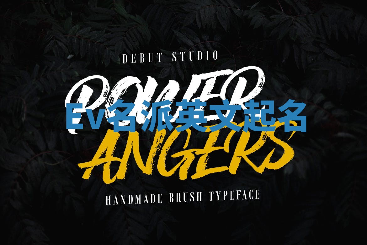 Ev名派英文起名